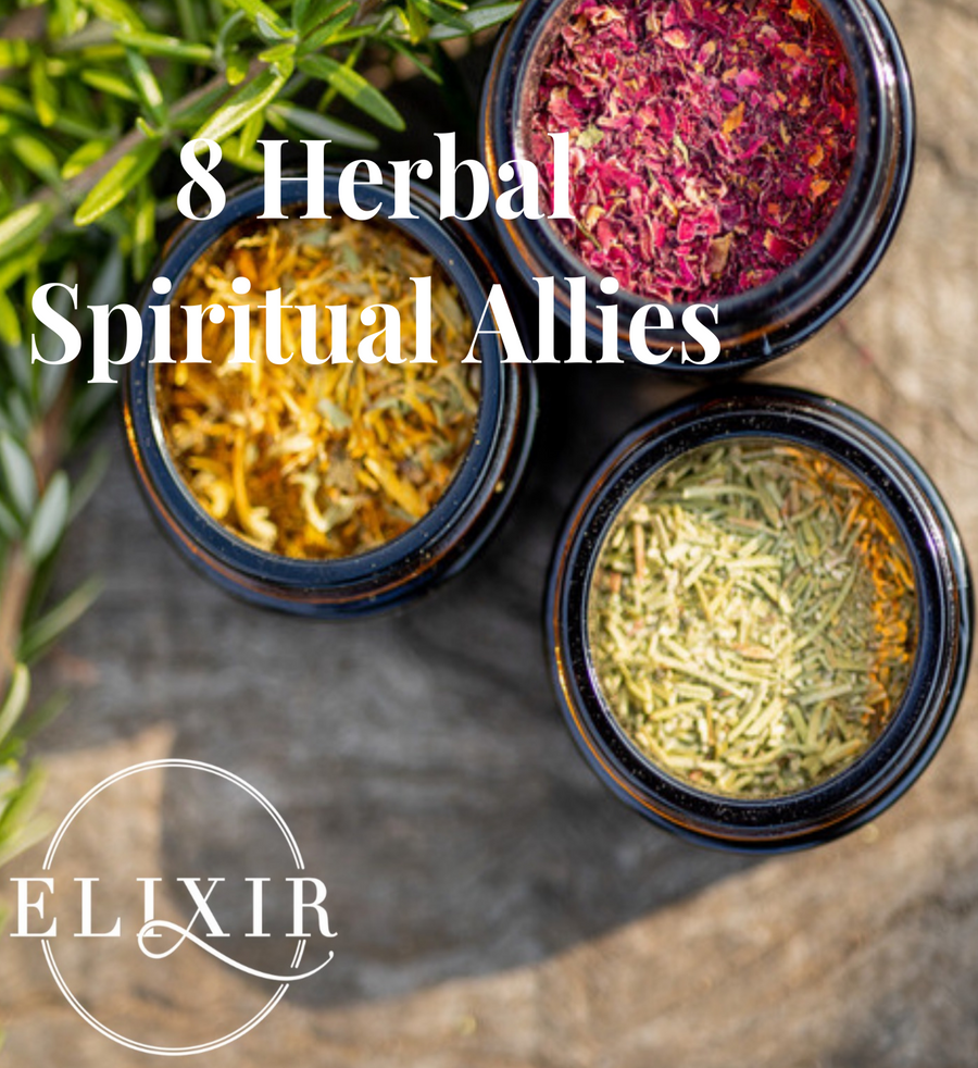 8 Herbal Spiritual Allies 6th February 2025